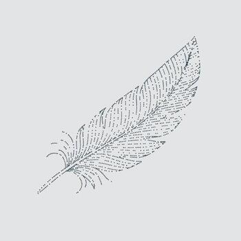 Detailed close-up of a delicate feather with intricate barbs and a slender shaft, showcasing natural patterns and fine textures vector