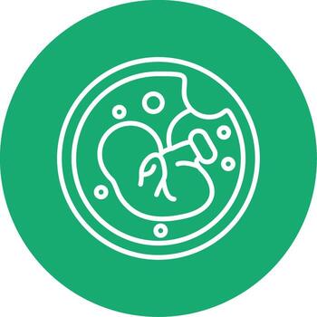 Placenta Fetal Support Multi Color Circle vector