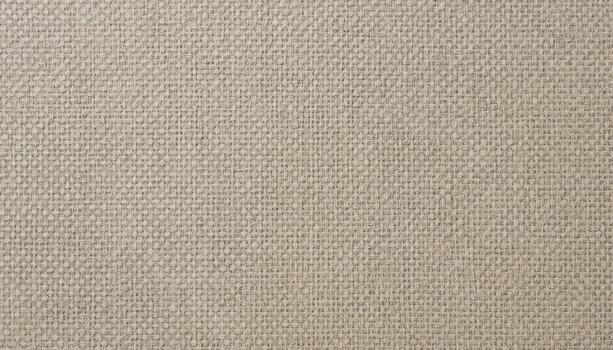Textured Fabric Background in Neutral Colors Showcasing Intricate Weave Patterns Under Sunlight photo