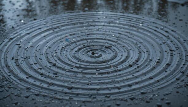 Ripples Form on a Puddle as Rainwater Creates Patterns in the Morning Light photo