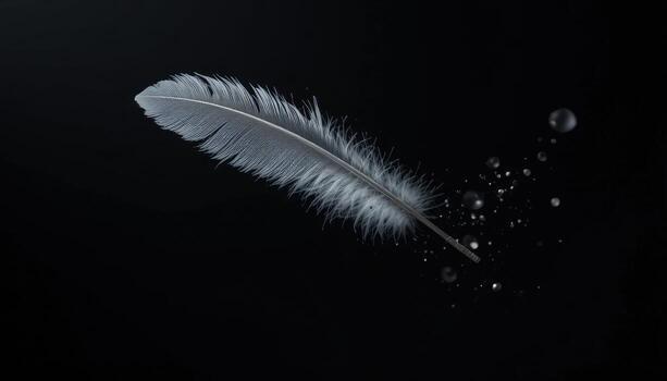 Delicate Feather Drifting in Dark Space With Sparkling Particles Surrounding It photo