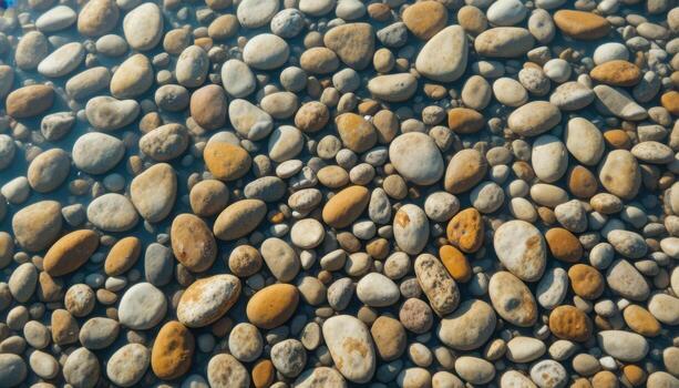 Colorful Pebbles Submerged in Clear Water Showcasing Natural Textures and Patterns photo