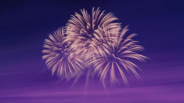 Group of Fireworks Explodes in Night Sky During Celebration photo