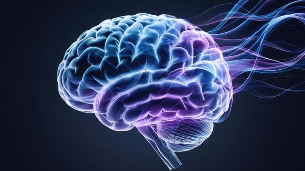 Human Brain Illuminated With Colorful Light Showing Neural Activity and Function photo