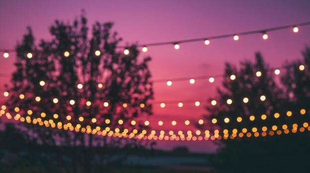 Strings of Glowing Lights Hang Above Trees at Twilight in Garden photo