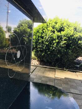 A black and white sign on a bench with a tree in the background photo