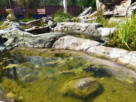 Serene water feature with natural elements in a park setting photo