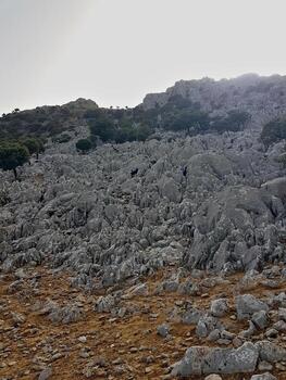 Goats make their way through the rugged rocks and oak trees, while the evening light casts calming shadow over the rocky slope. timeless, tranquil scene of mountain life and the tranquility of nature photo