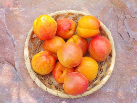 Apricot fruits on a wicker saucer standing on a stone in the garden. photo