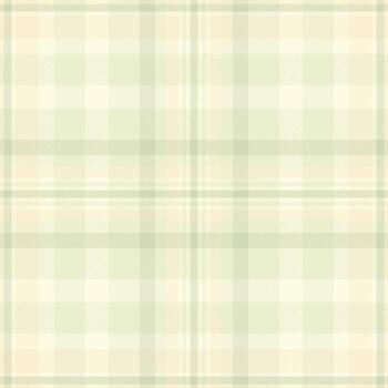 Soft green plaid pattern with subtle texture. Perfect for backgrounds, textiles, or adding a touch of rustic charm to designs. Versatile and timeless. vector