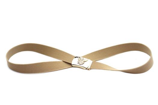 Khaki fabric belt with gold buckle featuring Garuda emblem, arranged in an infinity loop shape on white background, symbolizing Thai official uniform, elegance, and timeless tradition. photo