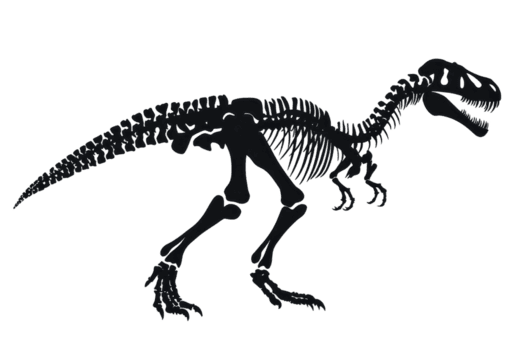 A detailed dinosaur skeleton posed in a dynamic stance, showcasing its unique features and structure. png