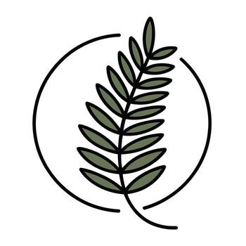 Colored outline botanical fern leaf in incomplete circle frame vector