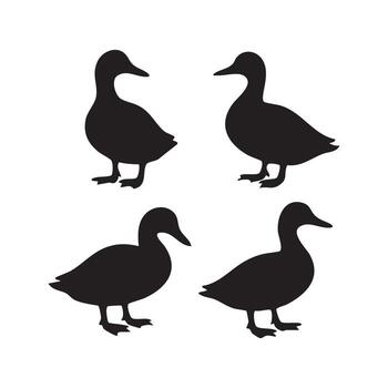Four Duck Silhouettes in a Simple Design, Featuring Different Poses and Angles of the Bird on a White Background vector