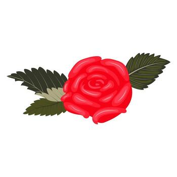 un lozano rojo Rosa cabeza con dos hojas en uno lado de el flor y uno hoja en el opuesto lado. ilustración en un blanco antecedentes. vector