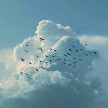 Flock of birds flying near a large cumulus cloud photo