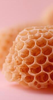 Close-up of honeycomb cells against a soft pink background photo