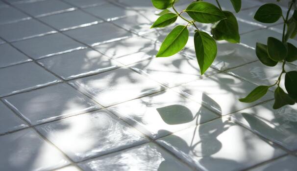 Sunlight casts shadows of leaves on white tiles photo