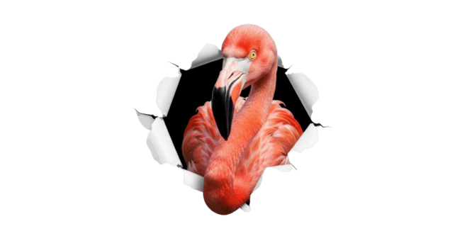 Vibrant pink flamingo with striking black eyes emerges dramatically from a ripped paper hole, creating an unexpected visual effect on a transparent background png