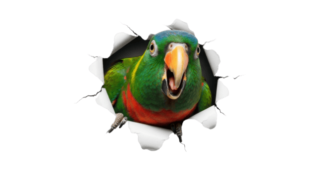 Vibrant exotic parrot with an open beak dramatically bursting through a torn paper hole, creating an eye-catching and dynamic surprise effect for creative designs png