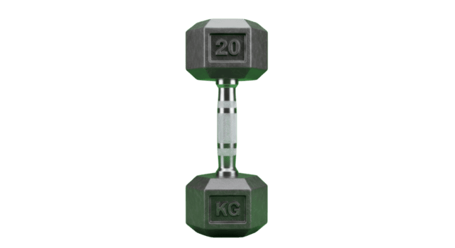 geïsoleerd 3d geven van een single groen en zilver zeshoekig halter gemarkeerd 20 kg, ideaal voor visualiseren concepten verwant naar fitheid, sterkte opleiding, Sportschool trainingen, en huis oefening uitrusting png