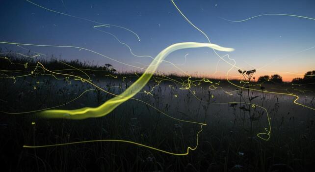 A long exposure photograph of a field with a long line of light photo