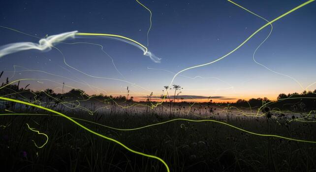 A long exposure photograph of a field with grass and a tree photo
