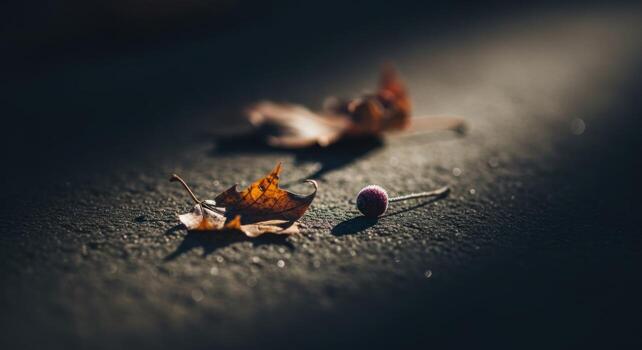un púrpura botón tendido en el suelo siguiente a un hoja foto