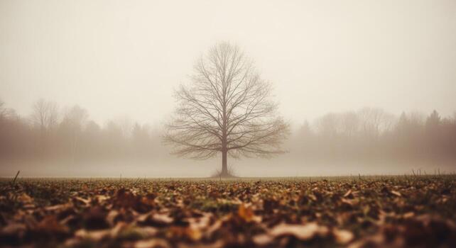 A lone tree in the middle of a field photo