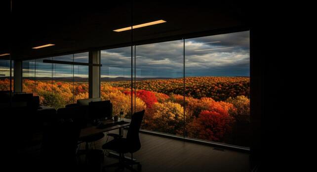 A view of fall foliage from an office window photo