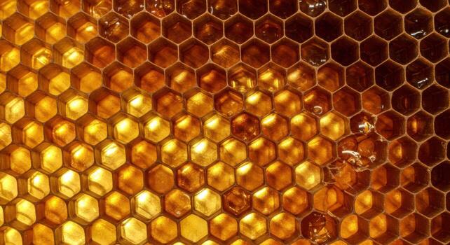 Honeycomb with golden honeycomb background stock photo - 12058981