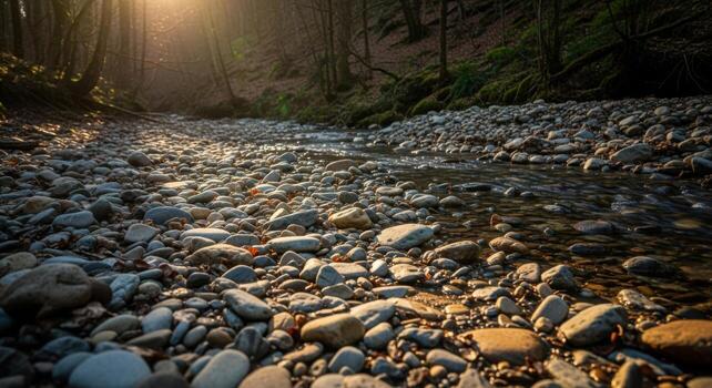 A stream running through a forest with rocks and trees photo