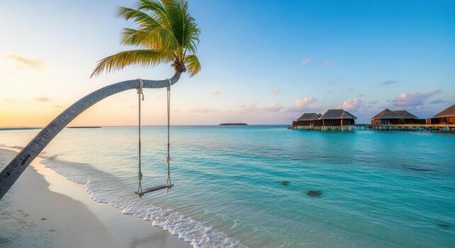 Swings on the beach with palm tree and water villas photo