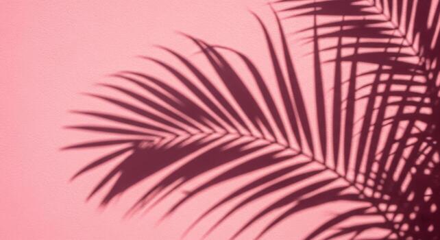 Palm leaves on pink background photo