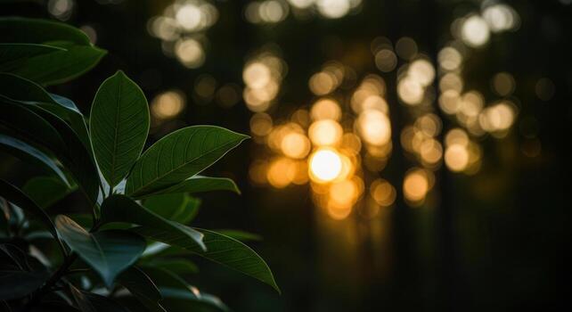 Lush green leaves with soft focus in foreground against a beautiful golden hour bokeh photo