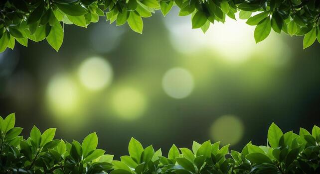 Emerald green leaves along the bottom and top edges set against a soft bokeh background photo