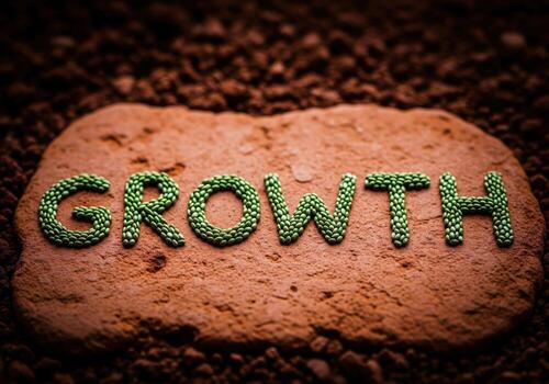 Word GROWTH spelled with green seeds on a stone surface in dark soil representing development photo