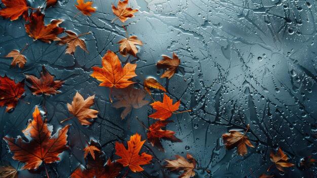 Autumn leaves on a window with water drops photo
