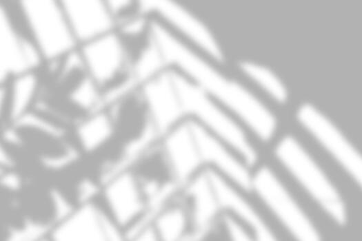 Soft shadows of window frame and plants creating abstract pattern. photo