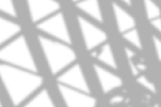 Leaf and window shadow overlay creating a delicate composition. photo