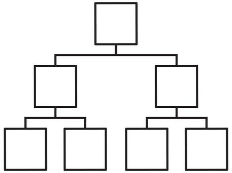 Hierarchy Social Chart Infographic vector