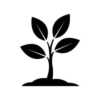 A solitary black sapling grows from fertile soil, with a transparent background vector