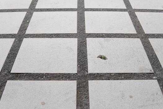 Abstract background of light grey checkered ceramic with dark grey lines of small pebbles photo