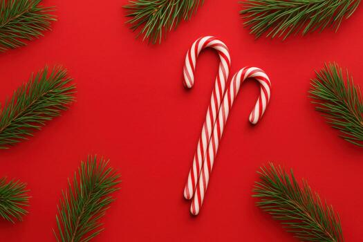 Christmas candy canes and fir branches on red background. photo