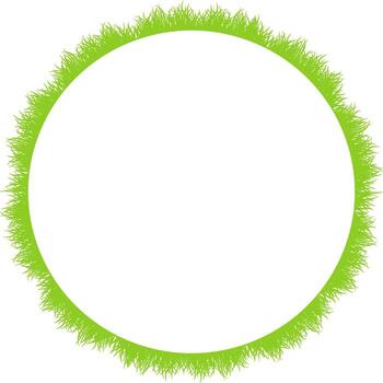 Green Grass empty frame. Trendy botany template. Grass empty frame box vector