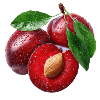 Due totale maturo prugne e uno dimezzato rivelatrice rosso rubino carne e calcolo, coperto nel fresco rugiada con Smeraldo foglie, morbido dall'alto al basso Visualizza, isolato su trasparente sfondo. png