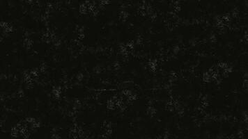 esplorando il buio modelli di natura a crepuscolo nel un' sereno foresta ambientazione video