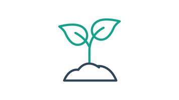 Sprout icon animation. Animated icon related to sustainable. Suitable for user interface, provide visual feedback and more. alpha channel, transparent background video