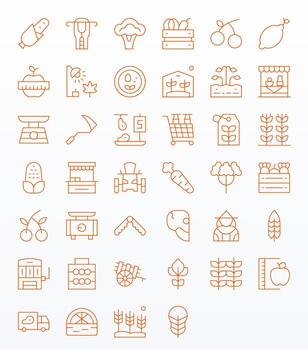 40 High Resolution Display Perfect Icons for Produce in Thin Line Theme vector