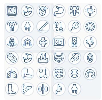 Anatomy High Resolution Icon Pack with 35 Regular Line Display Perfect Elements vector
